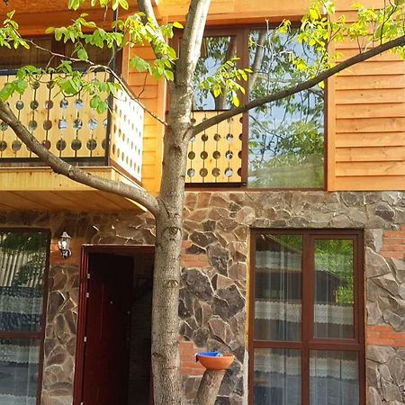 Levani'S Cottage ボルジョミ エクステリア 写真